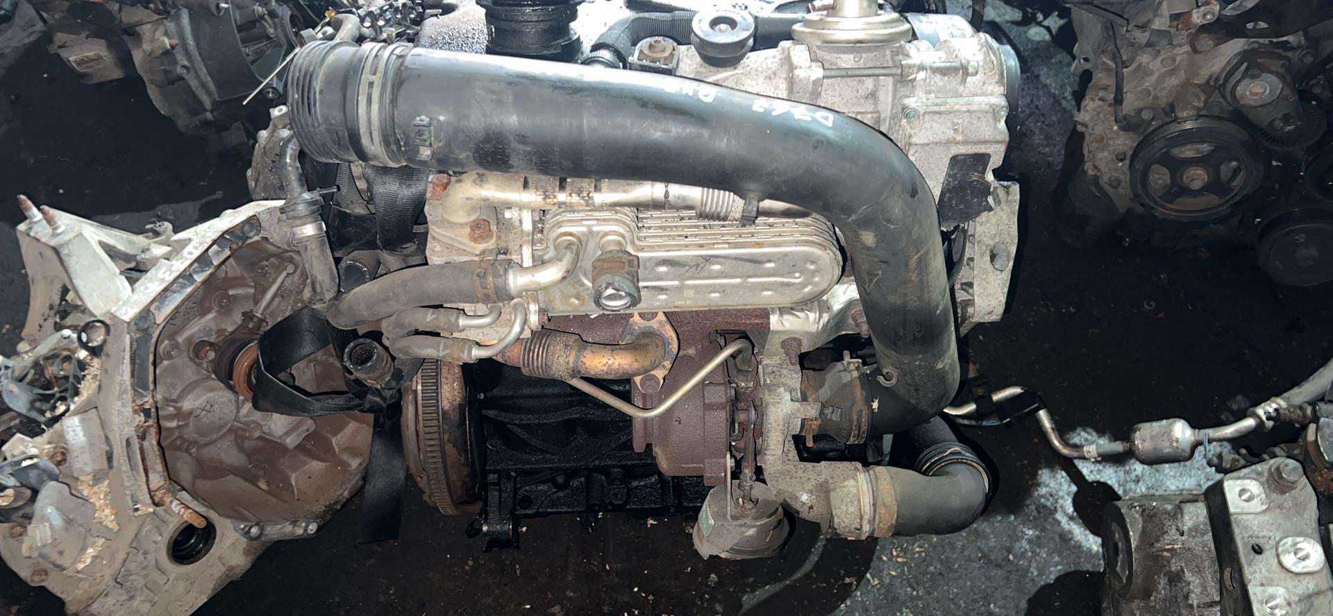 Двигатель BXE Volkswagen Passat B6 1.9 Дизель