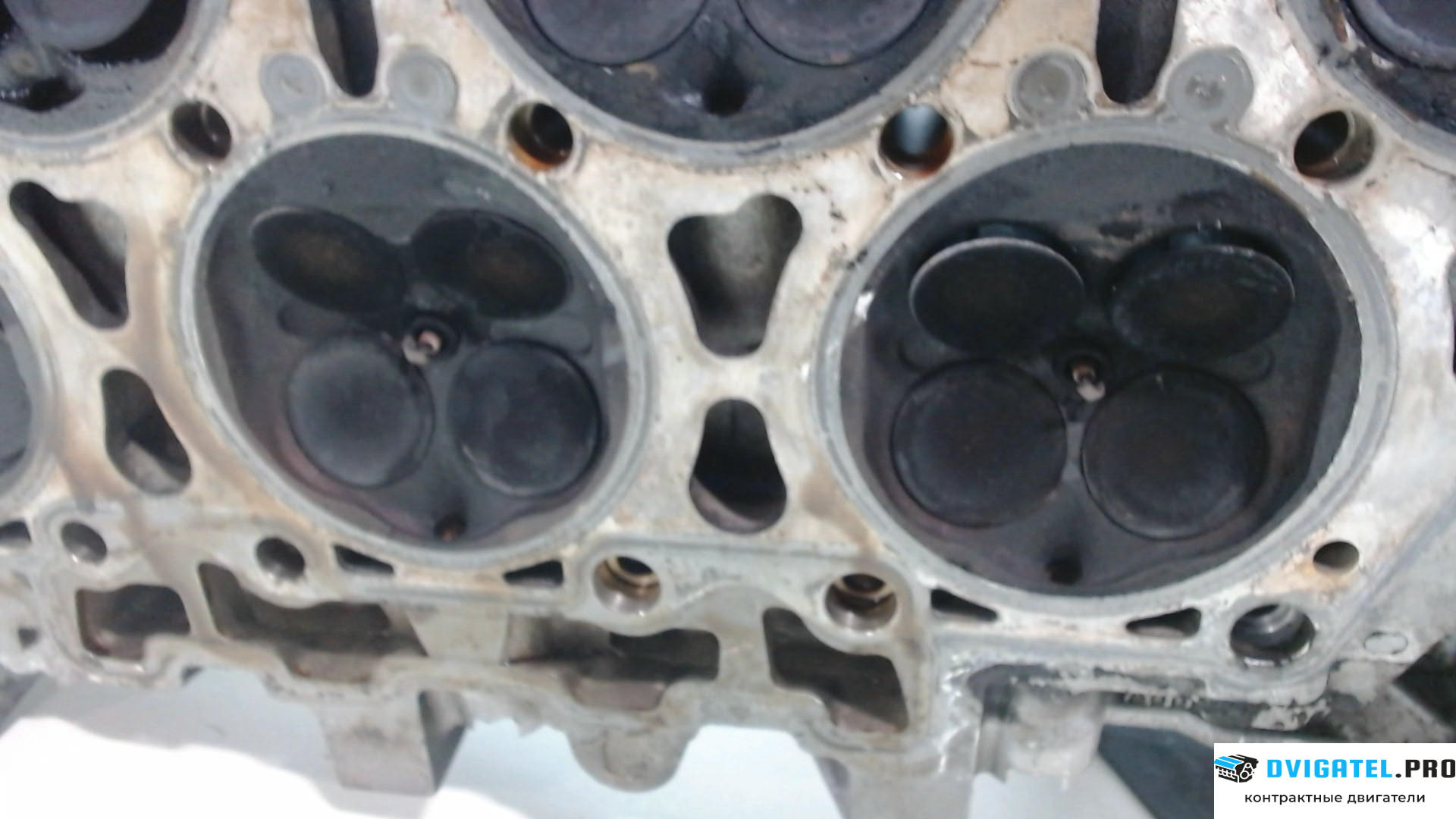 Головка блока цилиндров (ГБЦ) Porsche Cayenne 2007 - 2010 M55.01 3.6 л., Бензин, FSI, артикул 7781918