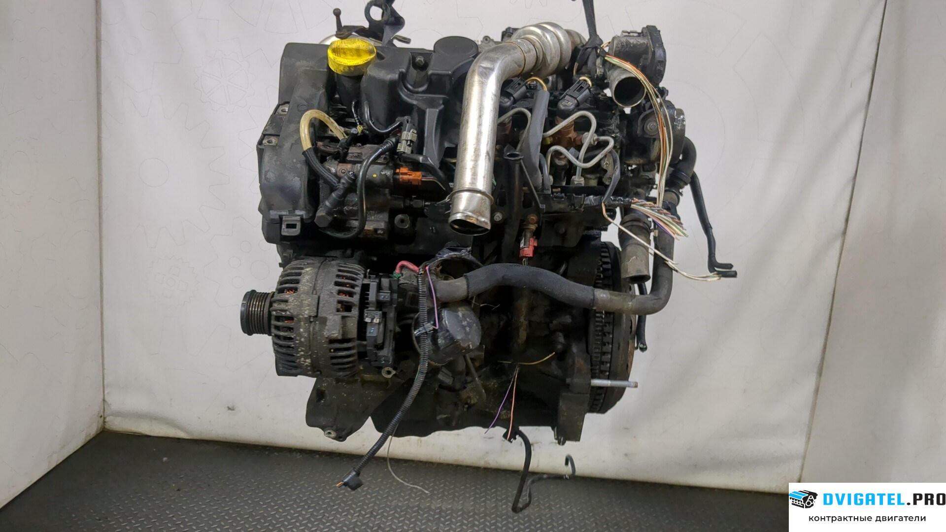Двигатель Renault Scenic 2003 - 2009 K9K 732 1.5 л., Дизель, DCI, артикул 9235365