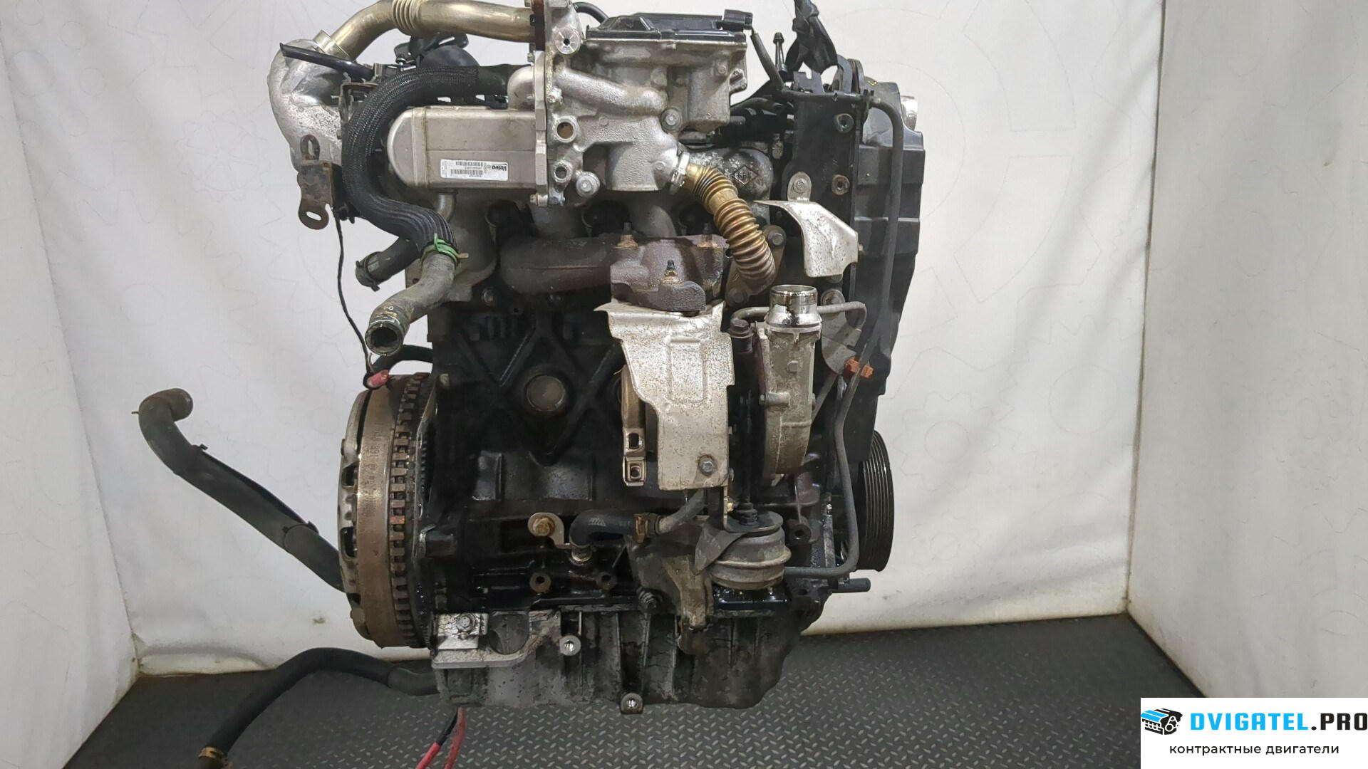 Двигатель Renault Scenic 2009 - 2012 F9Q 872 1.9 л., Дизель, DCI, артикул 8303993