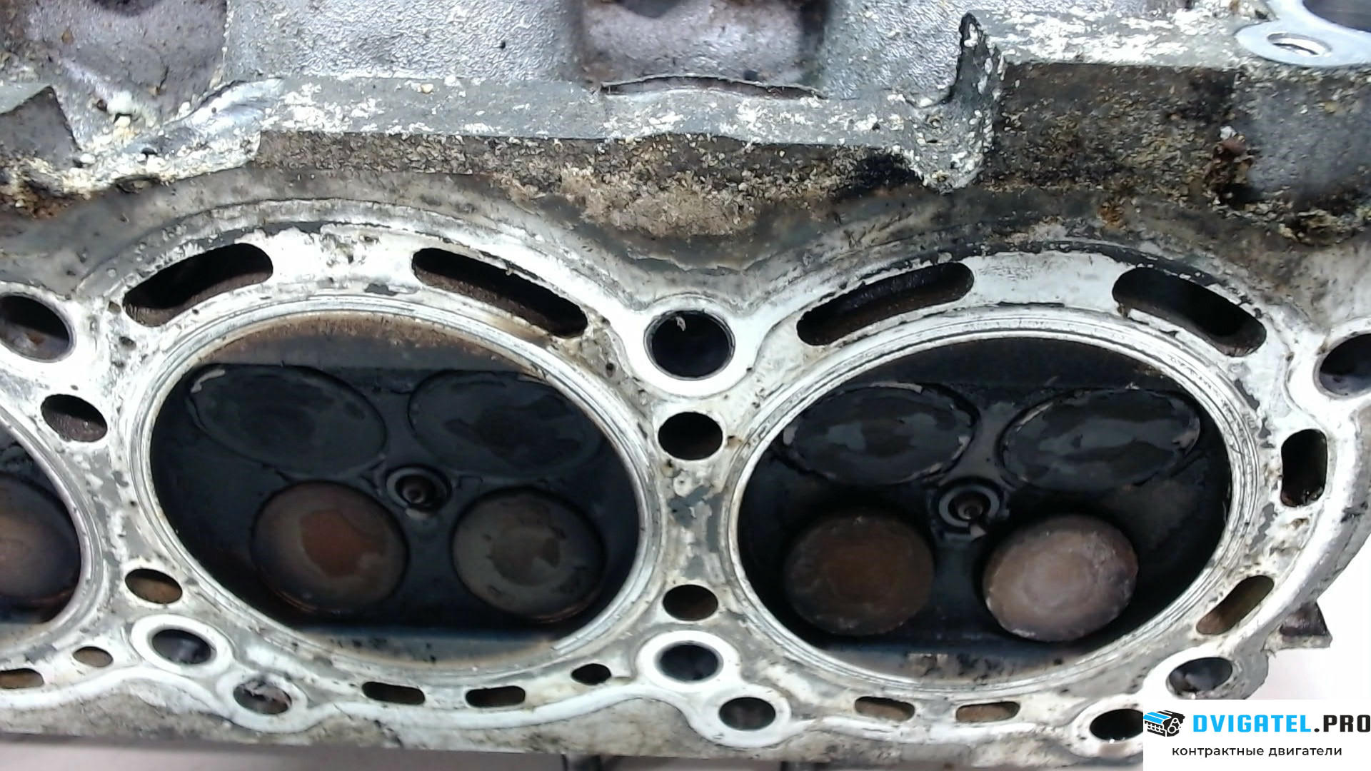 Головка блока цилиндров (ГБЦ) Infiniti FX 2003 - 2008 VK45DE 4.5 л., Бензин, Инжектор, артикул 7914802