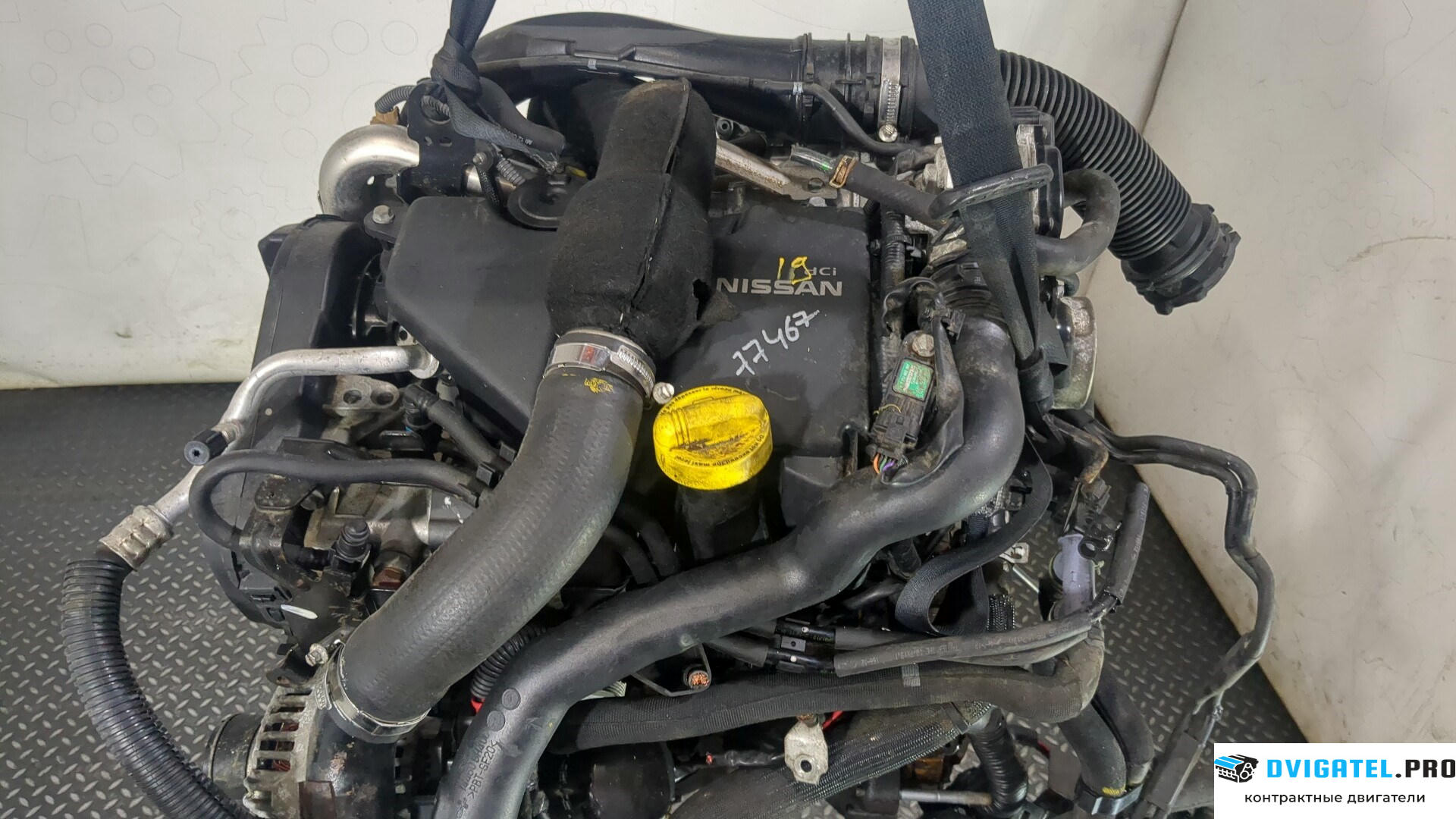 Двигатель Nissan Note E11 2006 - 2013 K9K 1.5 л., Дизель, DCI, артикул 8772436