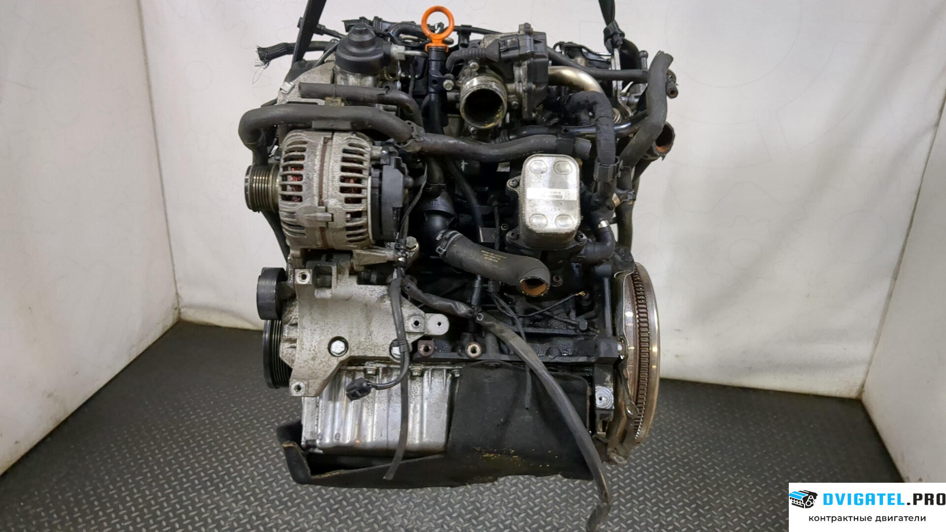 Двигатель Volkswagen Golf Plus CFHC 2 л., Дизель, TDI, артикул 9237097