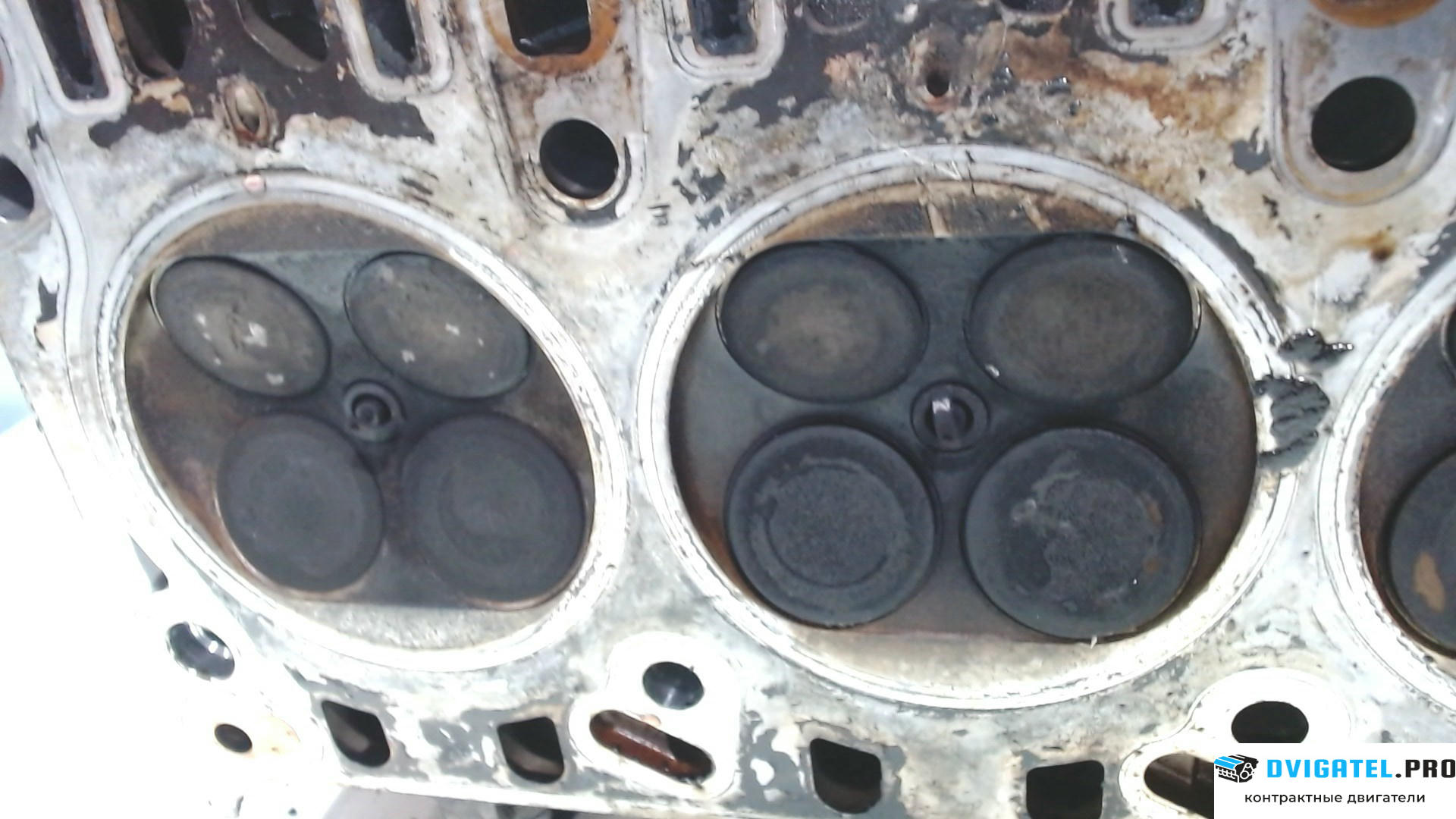 Головка блока цилиндров (ГБЦ) Porsche Cayenne 2002 - 2007 M48.00 4.5 л., Бензин, артикул 7884481