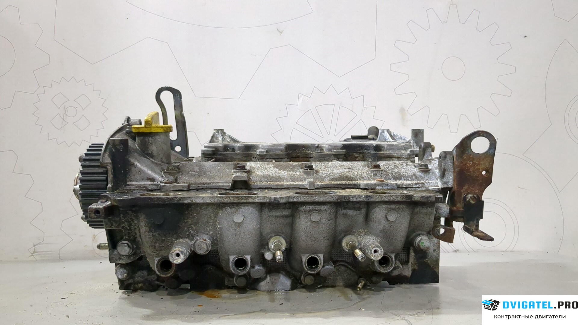 Головка блока цилиндров (ГБЦ) Renault Megane 2 2002 - 2009 F4R 770 2 л., Бензин, Инжектор, артикул 9222237
