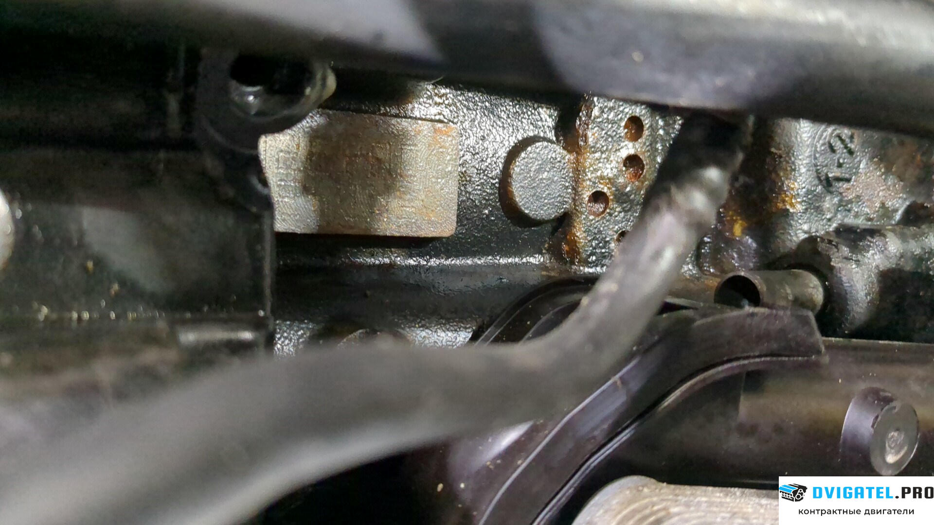 Двигатель Nissan Qashqai 2006 - 2013 K9K 1.5 л., Дизель, DCI, артикул 8831342