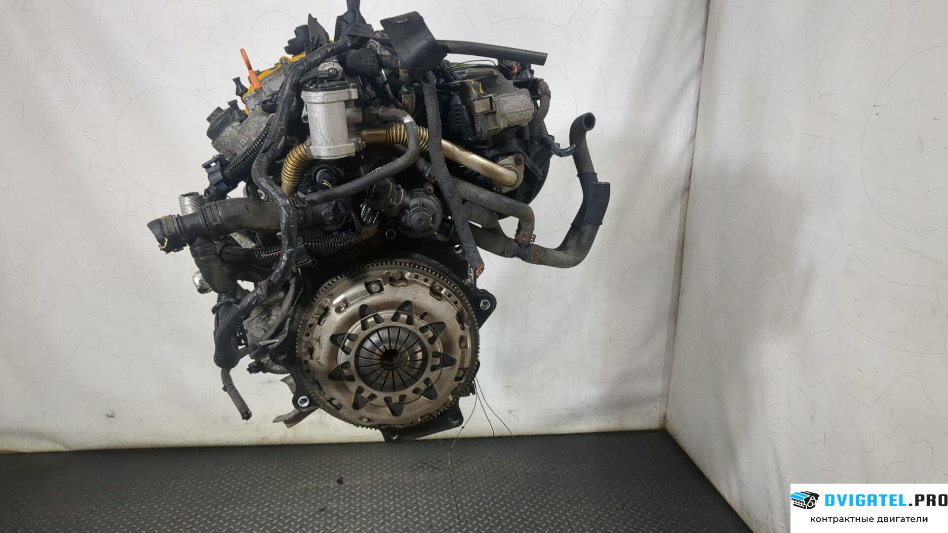 Двигатель Volkswagen Golf 5 2003 - 2009 BLF 1.6 л., Бензин, FSI, артикул 8836049