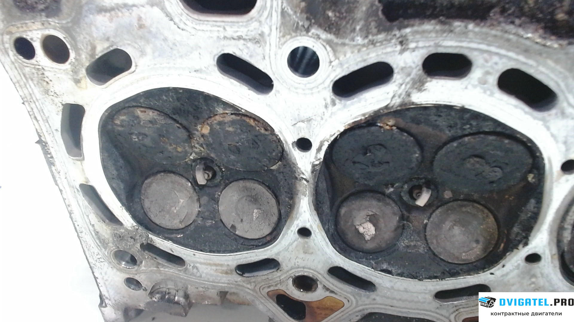 Головка блока цилиндров (ГБЦ) Toyota Prius 2003 - 2009 1NZFXE 1.5 л., Гибридный, артикул 7799567