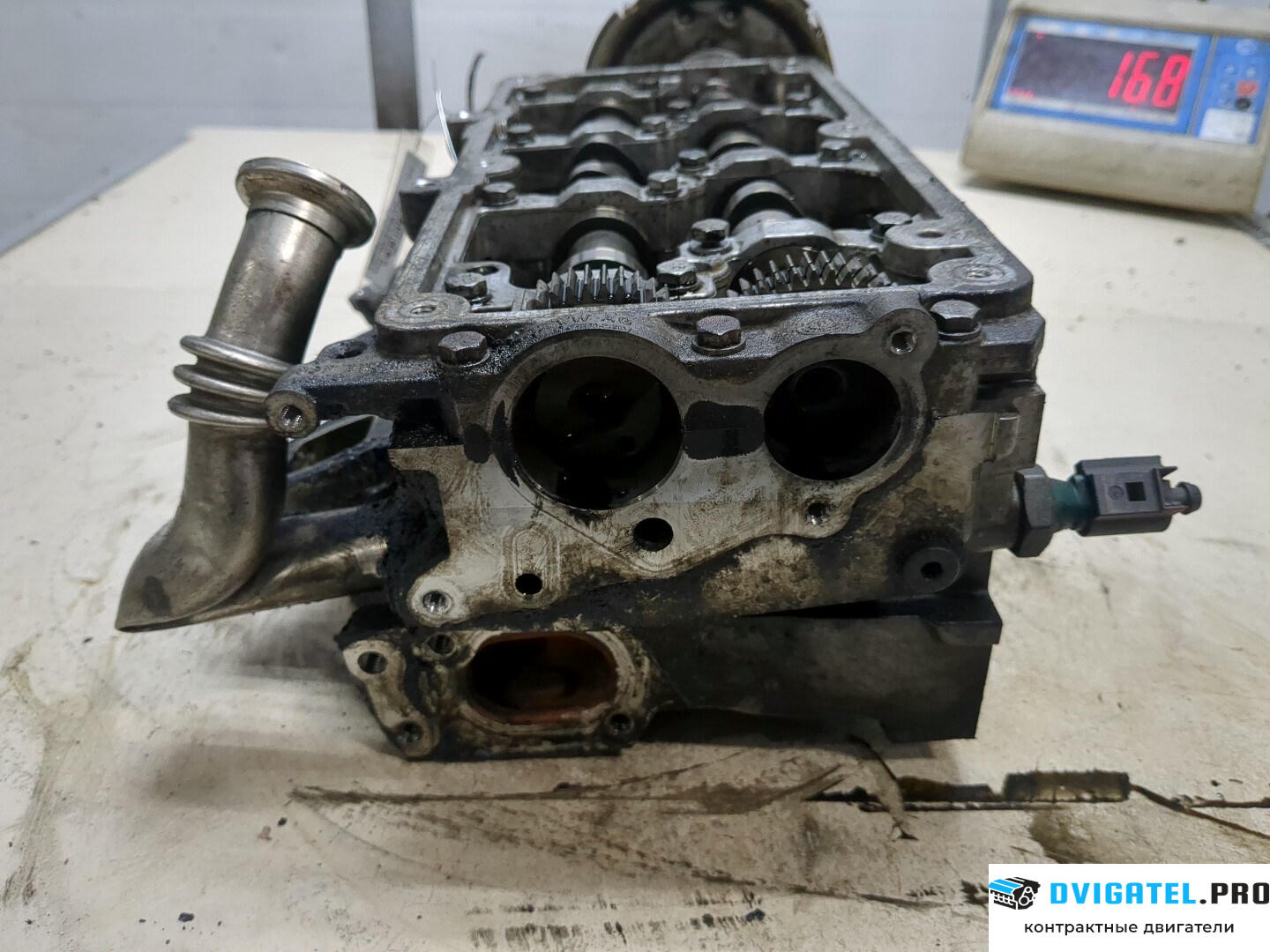 Головка блока цилиндров (ГБЦ) Seat Ibiza 4 2012 - 2015 CFWA 1.2 л., Дизель, TDI, артикул 8600550