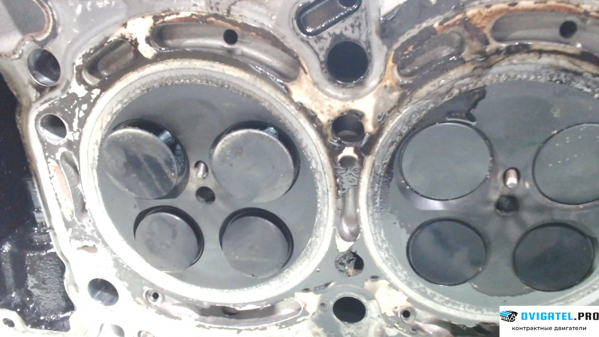 Головка блока цилиндров (ГБЦ) Chrysler 300C 2004 - 2011 EXL 3 л., Дизель, СRD, артикул 8036371