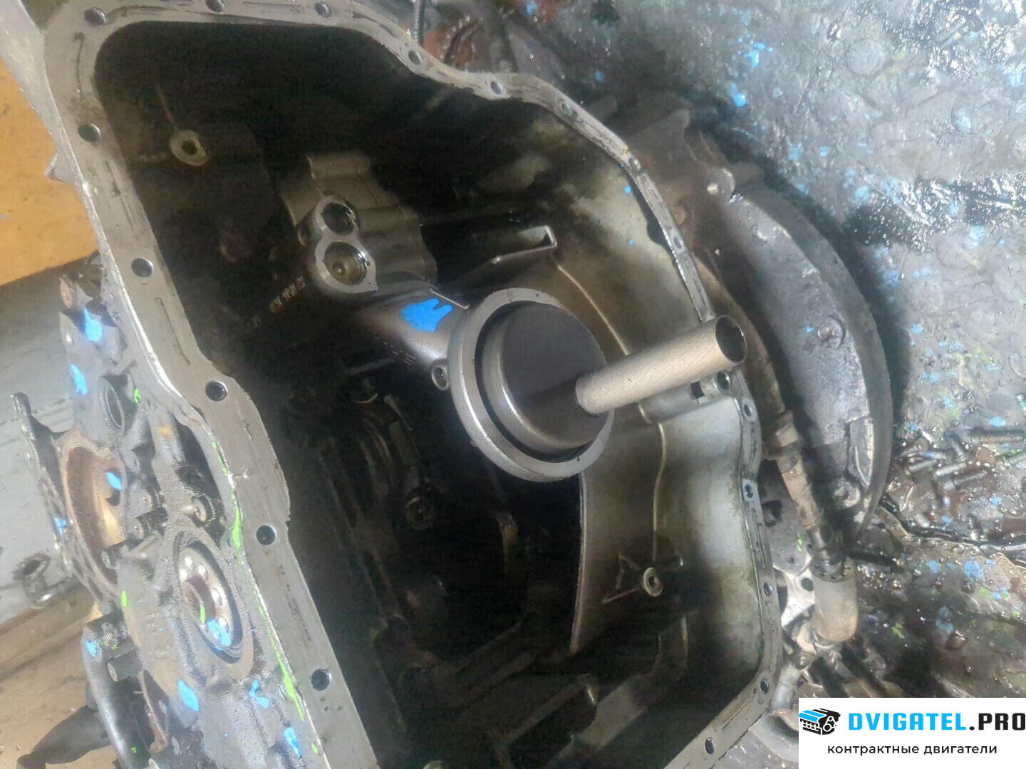 Шорт блок (Блок цилиндров) Audi Q7 2006 - 2009 BUG 3 л., Дизель, TDI, артикул 8893026