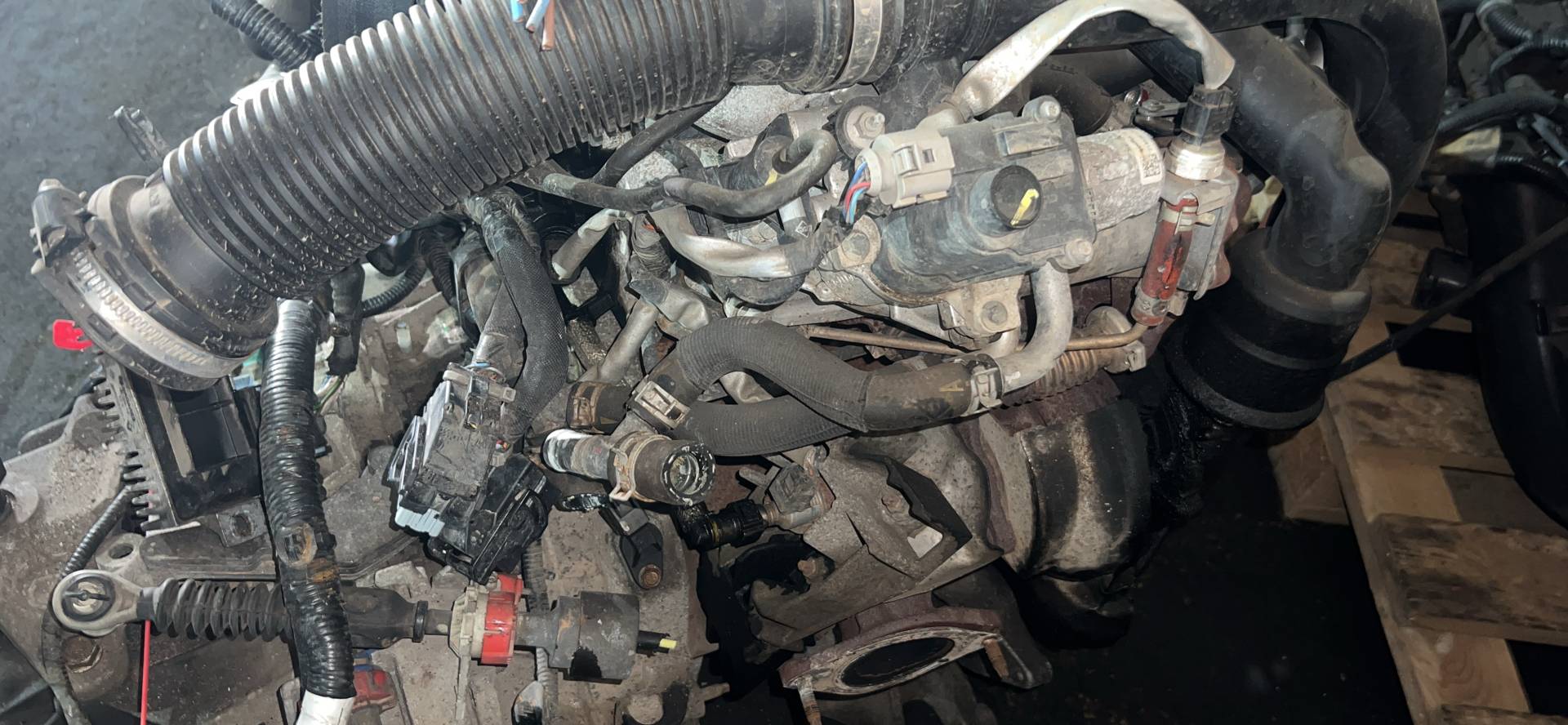 Двигатель K9KD430 Nissan Qashqai 1 1.5 Дизель