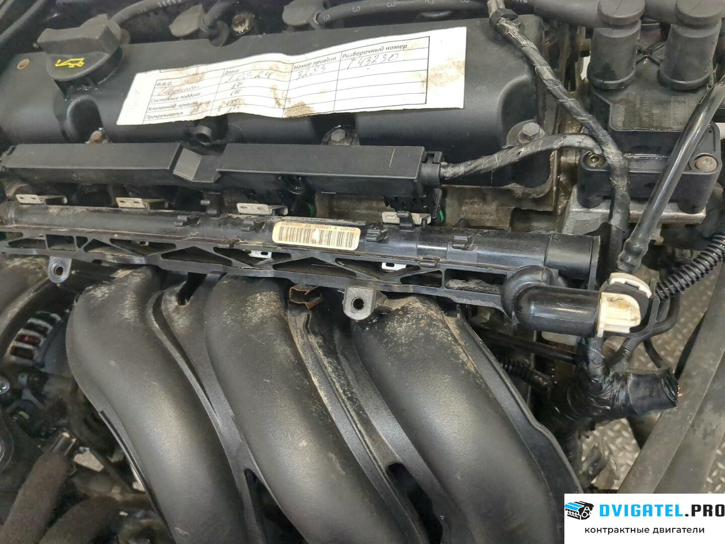 Двигатель Ford Focus 2 2005 - 2008 SHDA 1.6 л., Бензин, HPDC Инжектор, артикул 9234547
