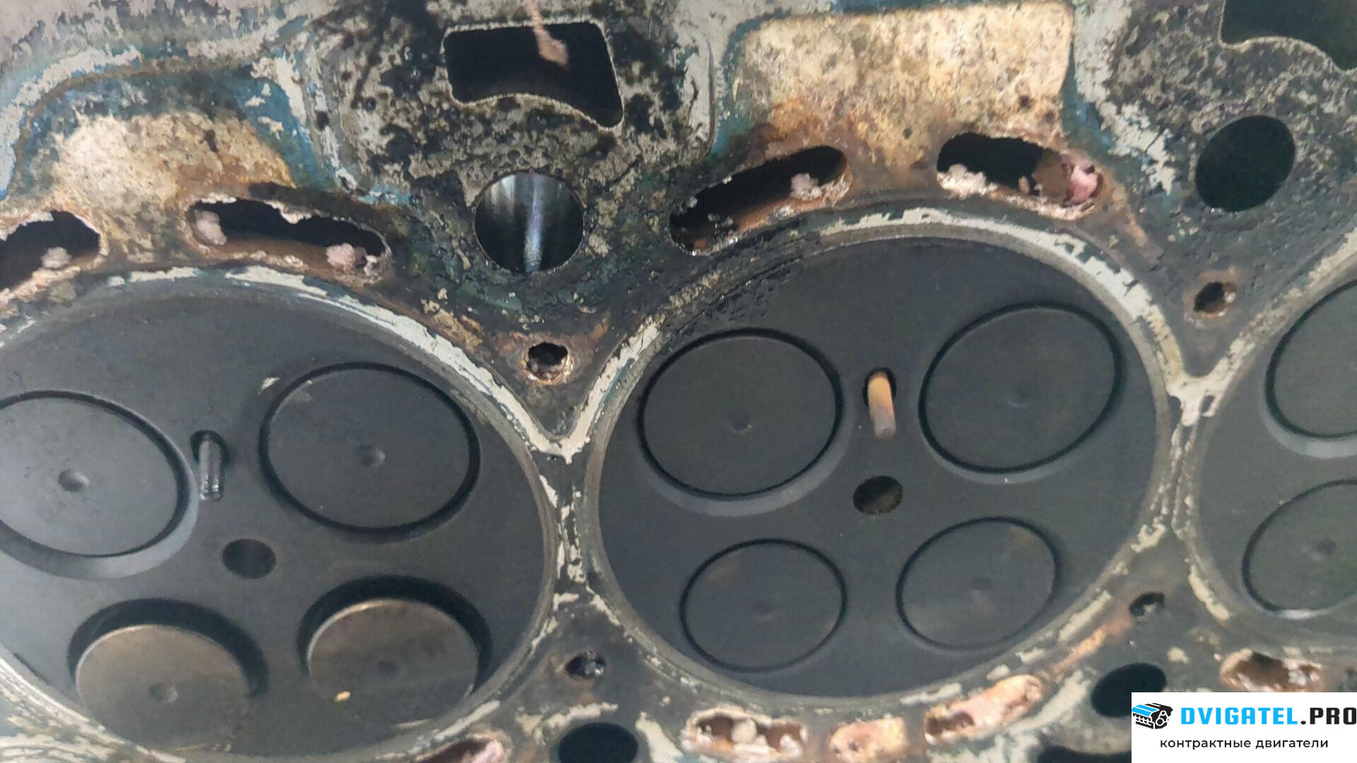 Головка блока цилиндров (ГБЦ) Opel Antara A22DM 2.2 л., Дизель, CDTI, артикул 9012631