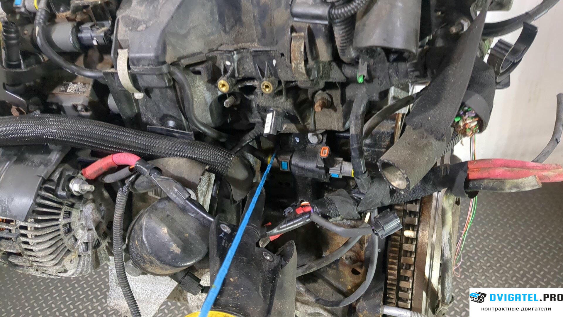 Двигатель Renault Scenic 2009 - 2012 K9K 836, K9K 837 1.5 л., Дизель, DCI, артикул 9040768