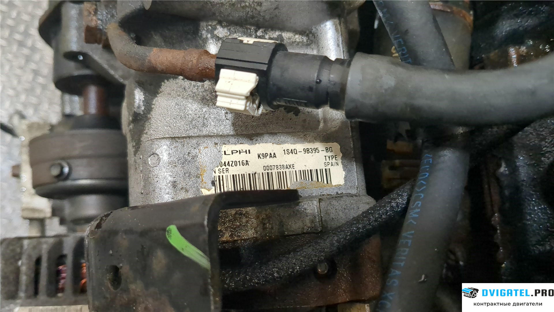 Двигатель Ford Focus 1 1998 - 2004 F9D… 1.8 л., Дизель, TDCI, артикул 8134511