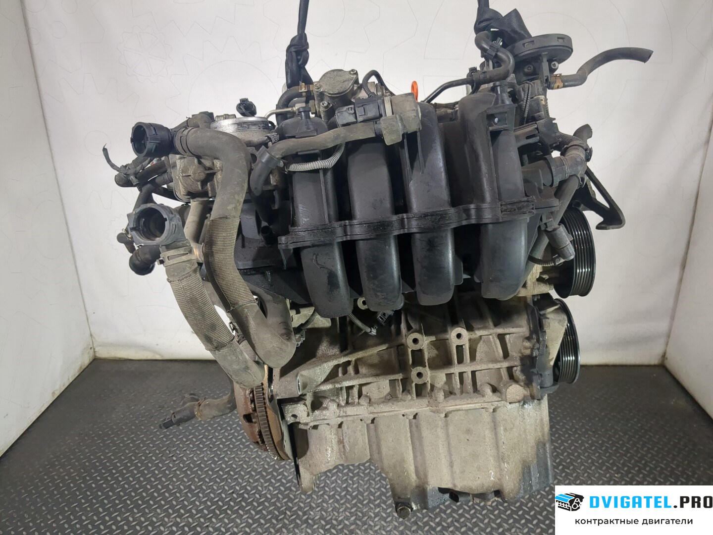Двигатель Volkswagen Golf 5 2003 - 2009 BLF 1.6 л., Бензин, FSI, артикул 8583018