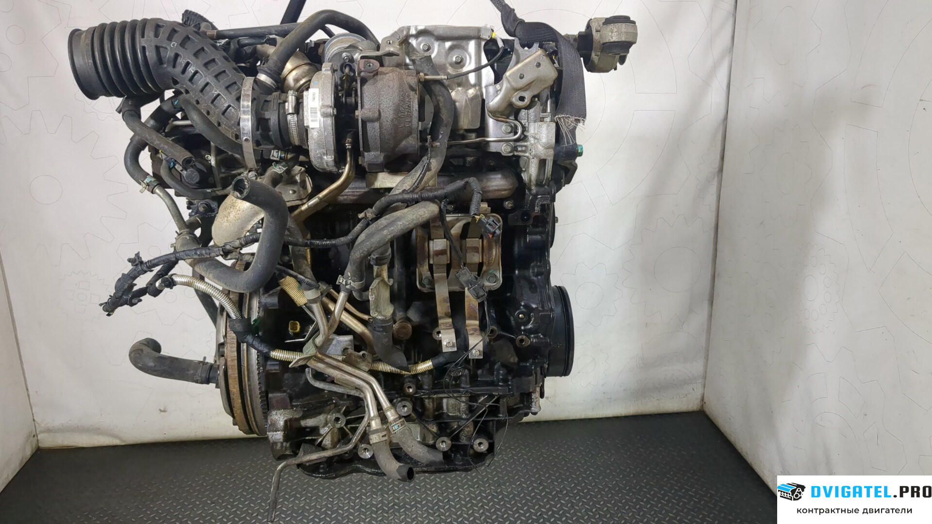 Двигатель Renault Koleos 2008 - 2016 M9R 830 2 л., Дизель, DCI, артикул 8859220