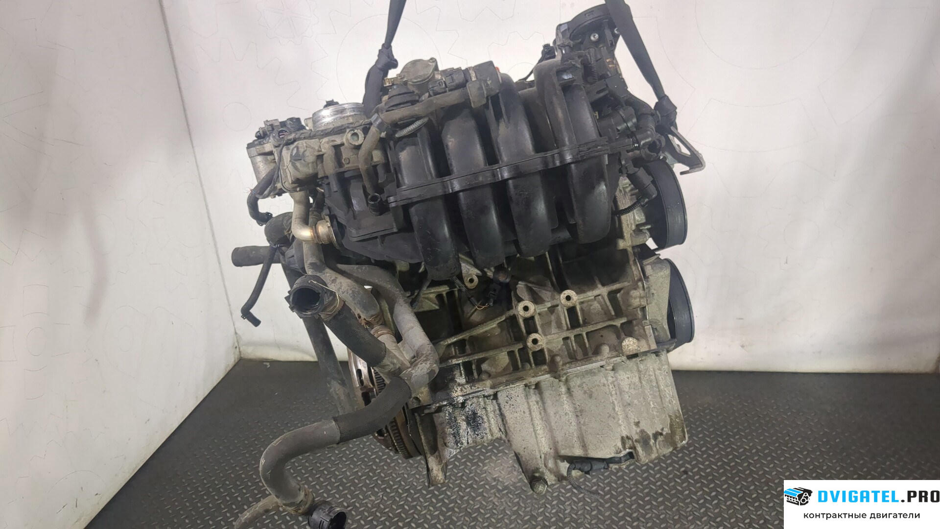 Двигатель Volkswagen Golf 5 2003 - 2009 BLF 1.6 л., Бензин, FSI, артикул 9012974