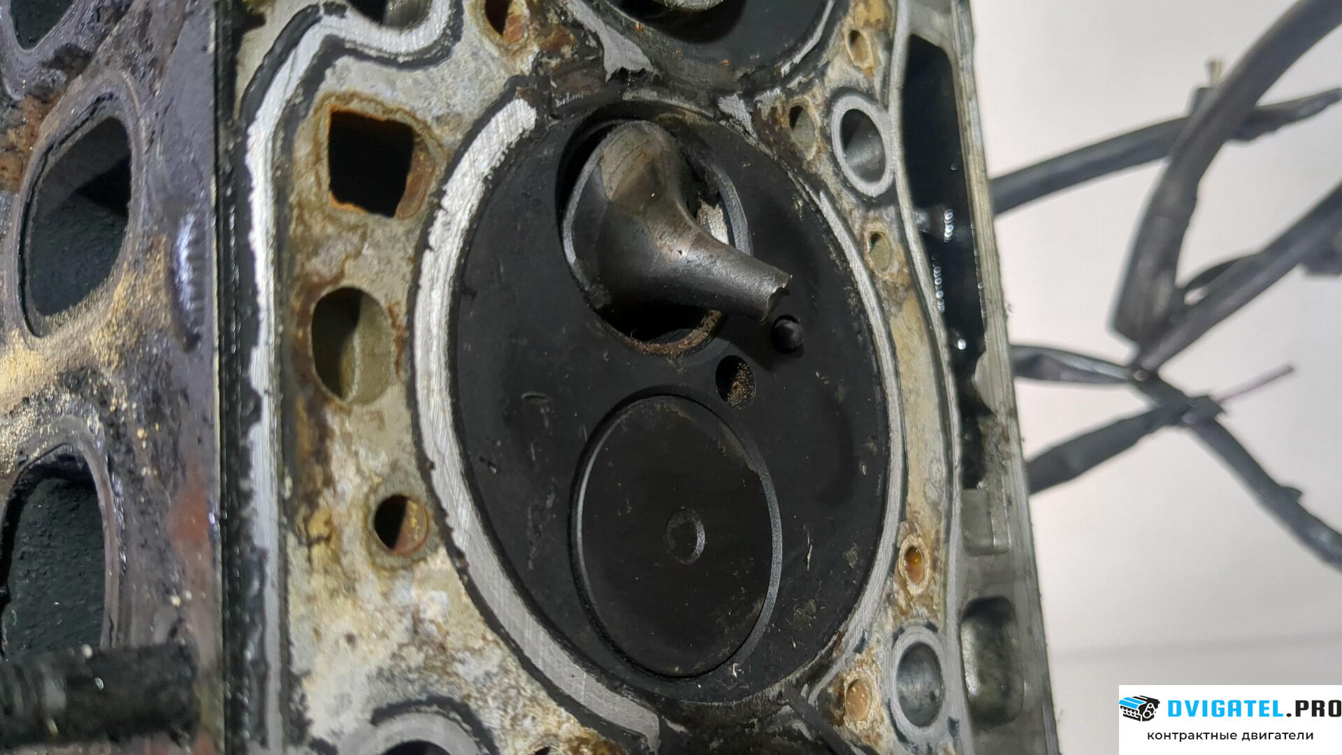Головка блока цилиндров (ГБЦ) Opel Movano 2004 - 2010 F9Q 772 1.9 л., Дизель, DCI, артикул 8936227