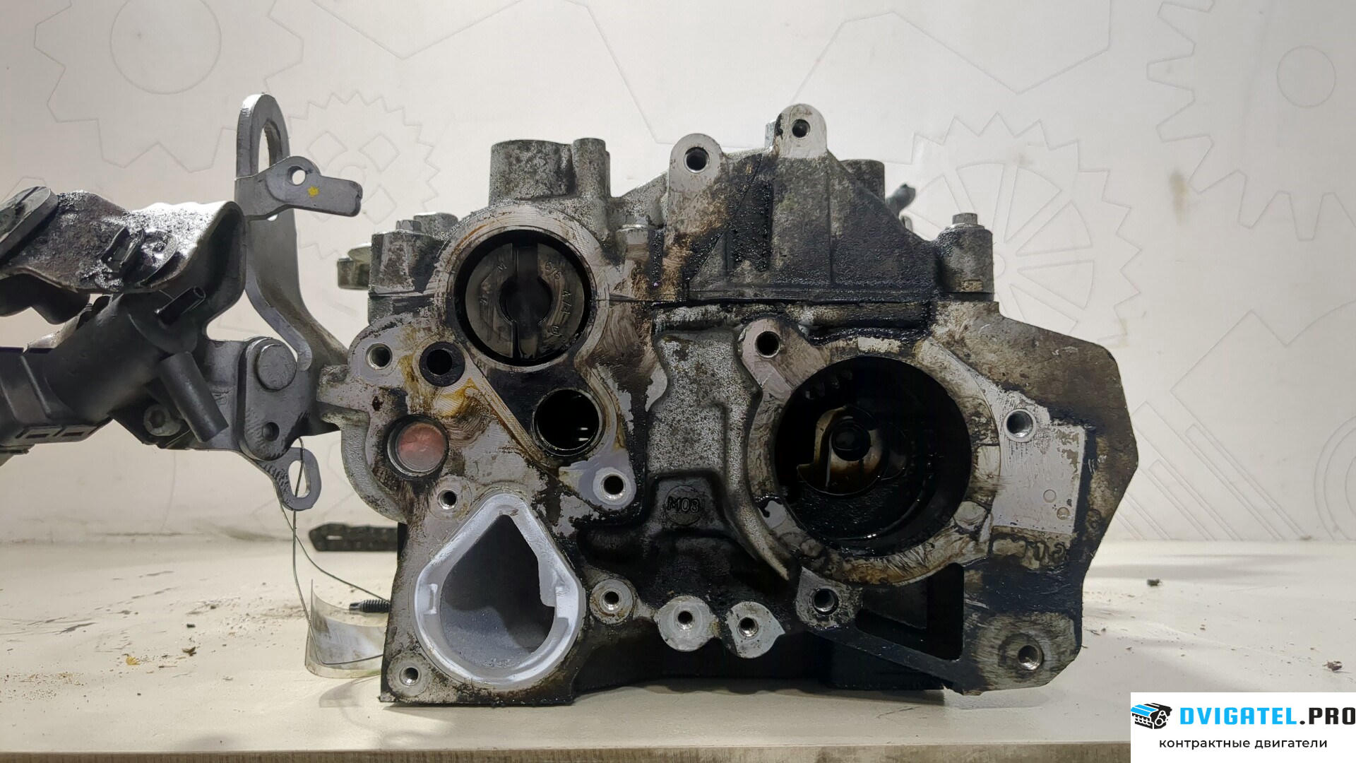 Головка блока цилиндров (ГБЦ) Nissan Qashqai 2006 - 2013 M9R 2 л., Дизель, DCI, артикул 9040569