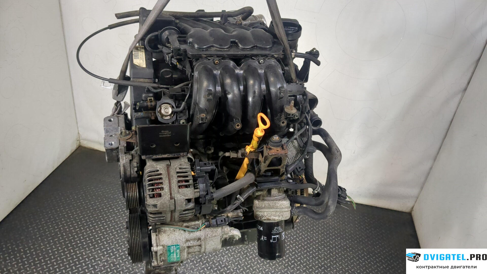Двигатель Volkswagen Golf 4 1997 - 2005 AKL 1.6 л., Бензин, Инжектор, артикул 8987512