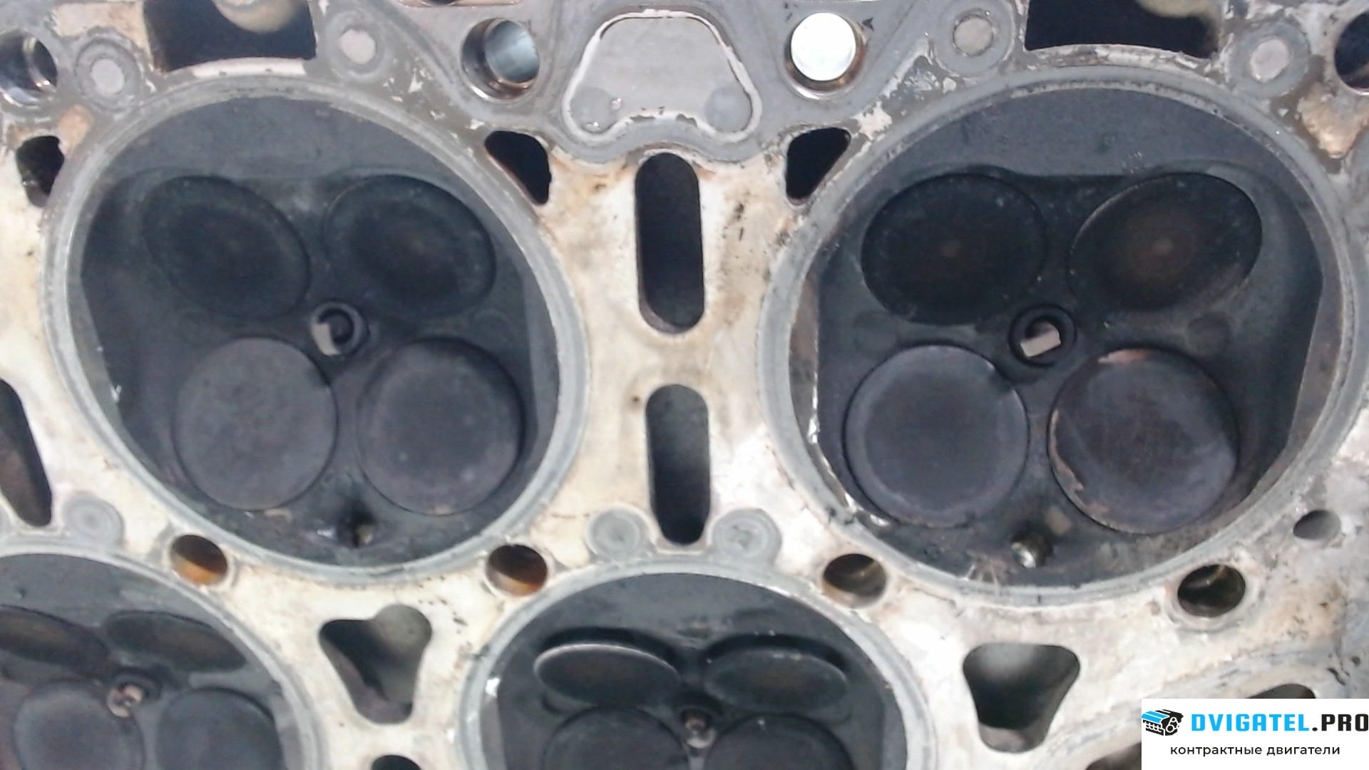 Головка блока цилиндров (ГБЦ) Porsche Cayenne 2007 - 2010 M55.01 3.6 л., Бензин, FSI, артикул 7781918