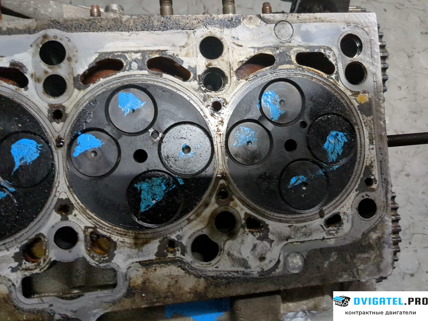 Головка блока цилиндров (ГБЦ) Audi A6 C6 2005 - 2011 BRE 2 л., Дизель, TDI, артикул 9233451