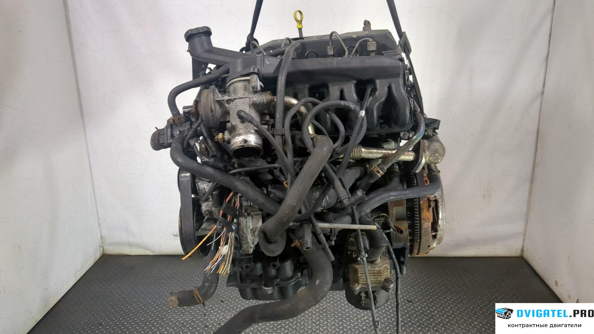Двигатель Ford Transit 2000 - 2006 D2FA, D2FB, D2FE 2.4 л., Дизель, TDDI, артикул 9153246