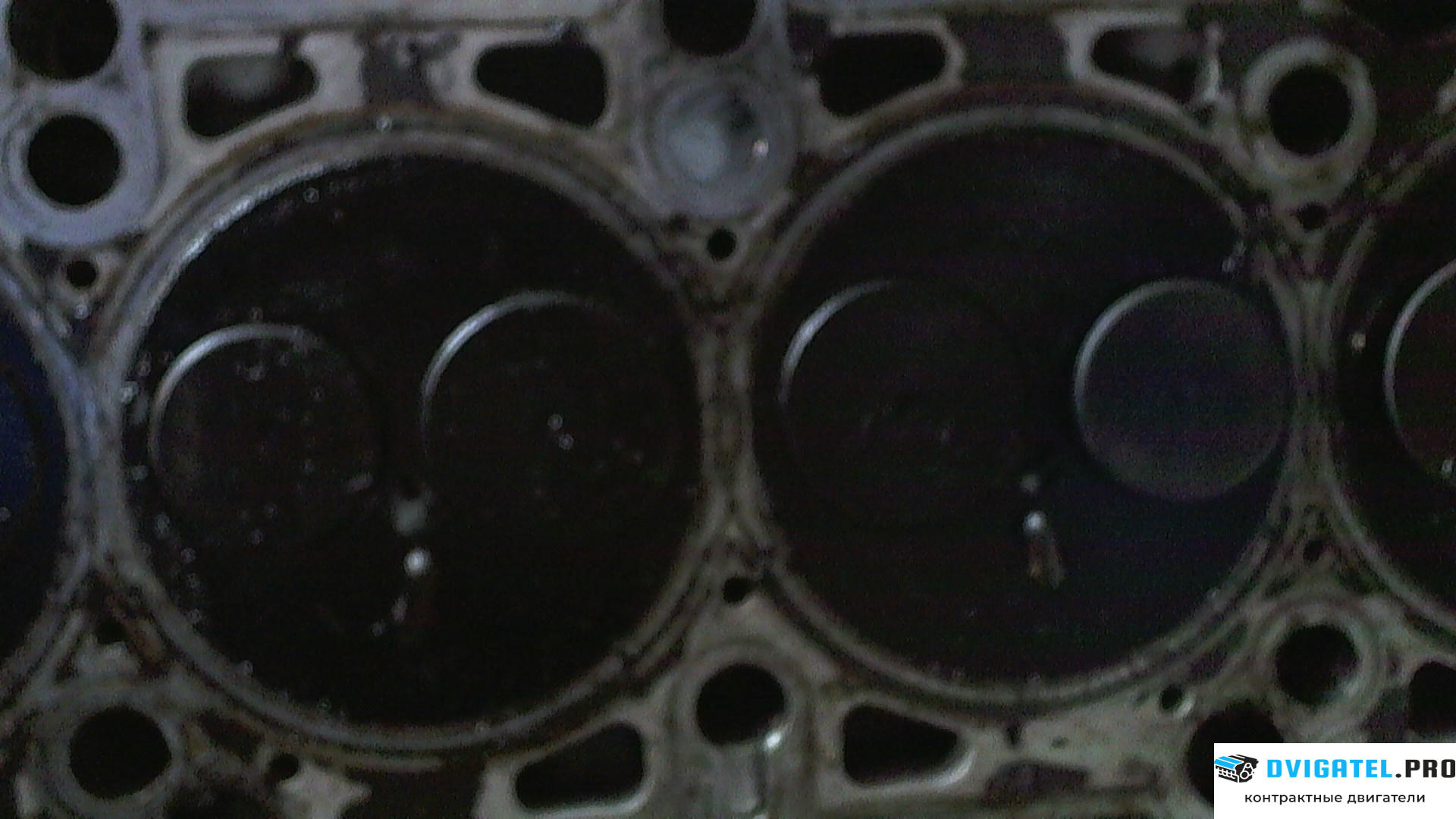 Головка блока цилиндров (ГБЦ) Volkswagen Touareg 2002 - 2007 AYH 5 л., Дизель, артикул 7767173