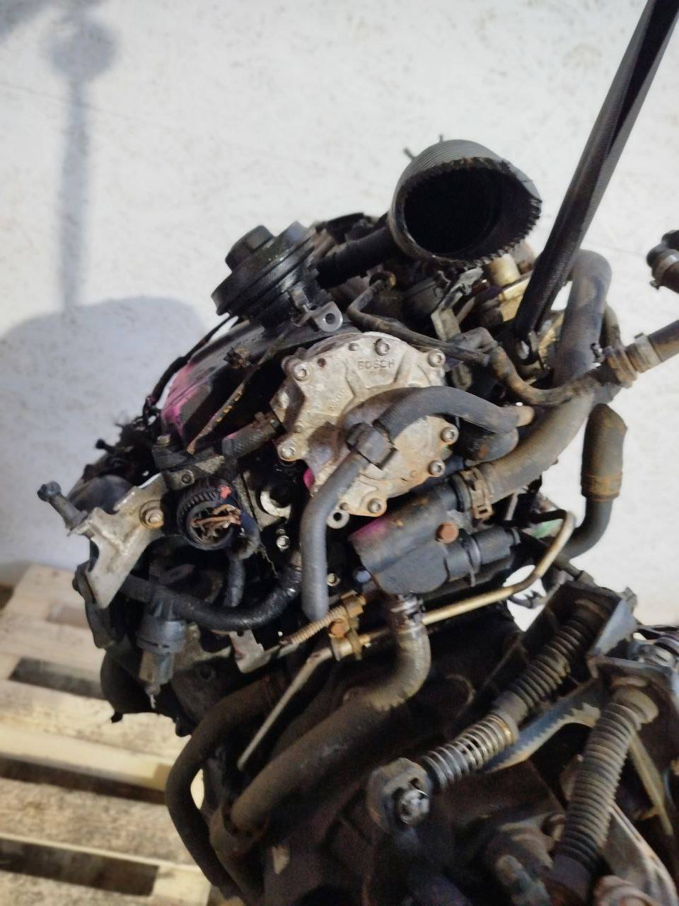 Двигатель BXE Volkswagen Passat B6 1.9 Дизель