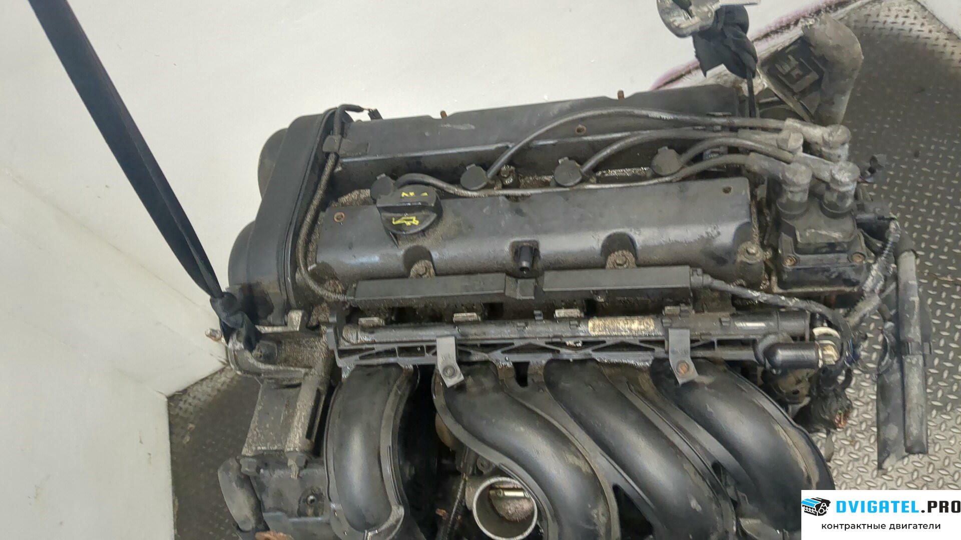 Двигатель Ford Focus 2 2005 - 2008 HWDA, HWDB 1.6 л., Бензин, Инжектор, артикул 9284868