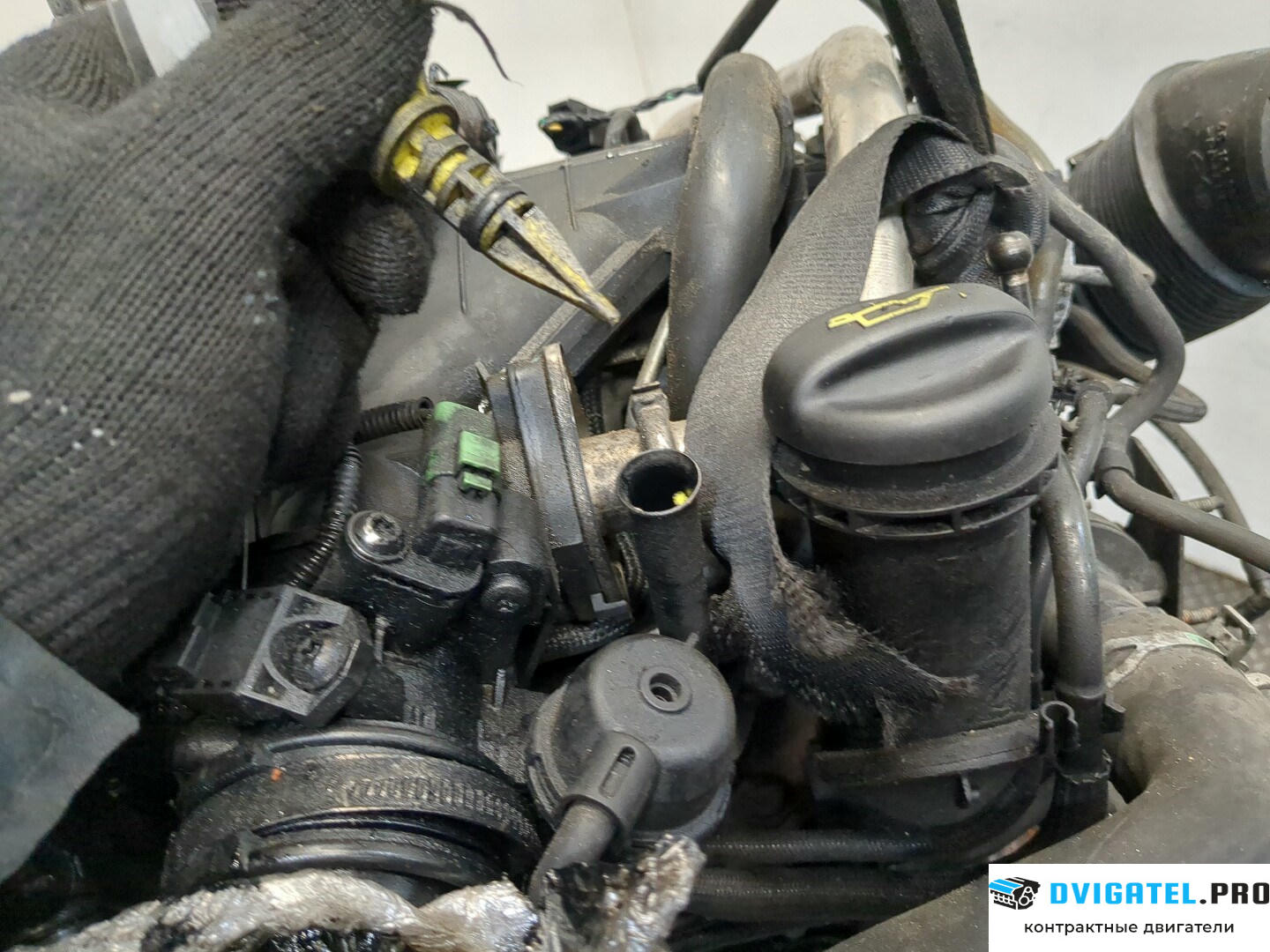 Двигатель Ford Galaxy 2006 - 2010 QXWA, QXWB, QXWC 2 л., Дизель, TDCI, артикул 8621863