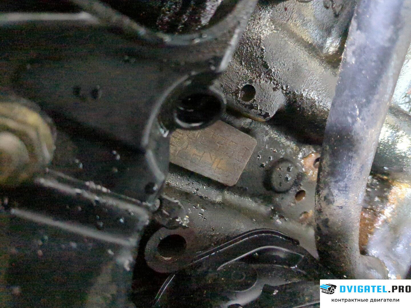 Двигатель Renault Megane 2 2002 - 2009 K9K 732 1.5 л., Дизель, DCI, артикул 8650659