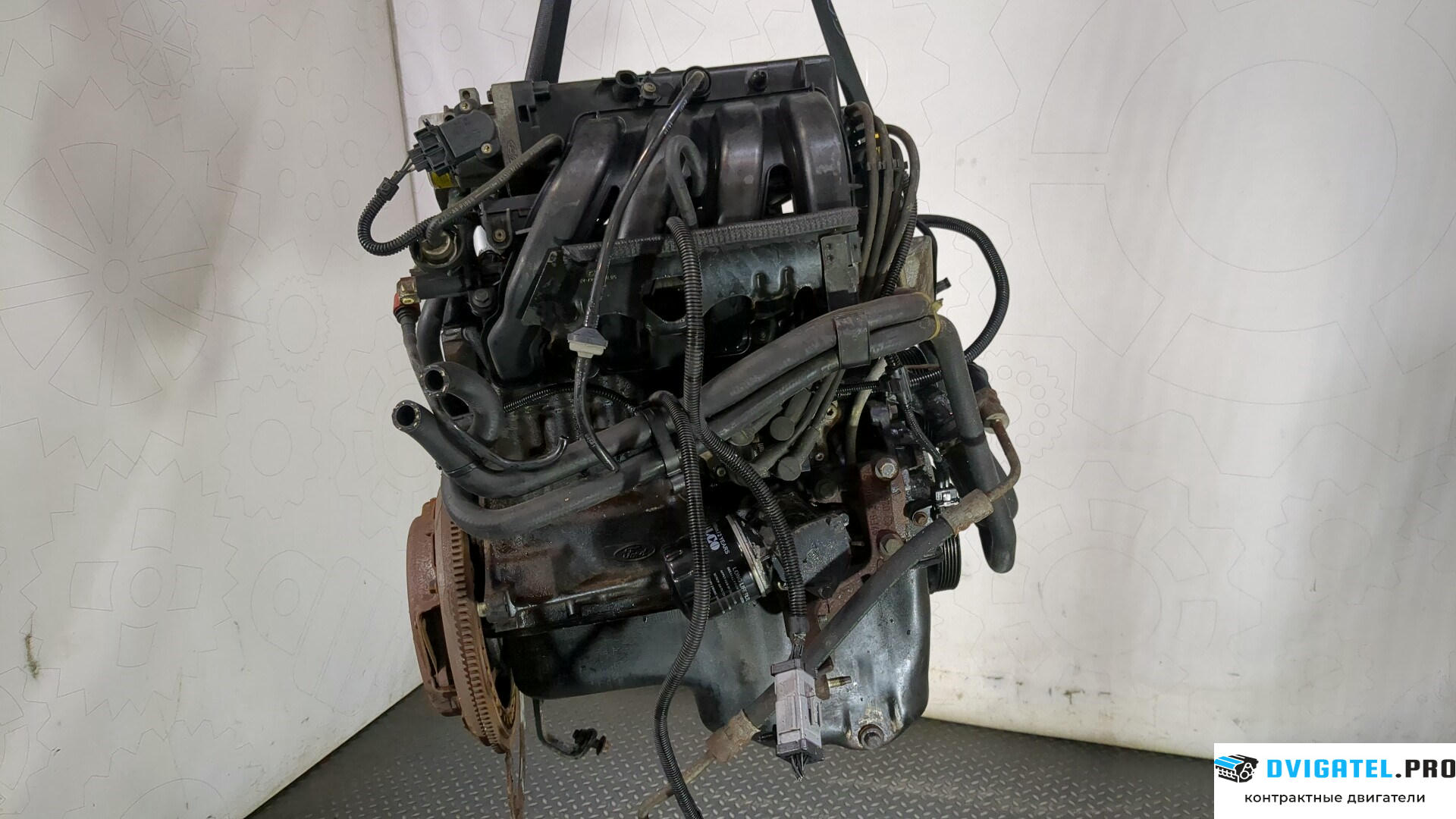 Двигатель Ford Fiesta 1995 - 2000 JJ… 1.3 л., Бензин, Инжектор, артикул 8978517
