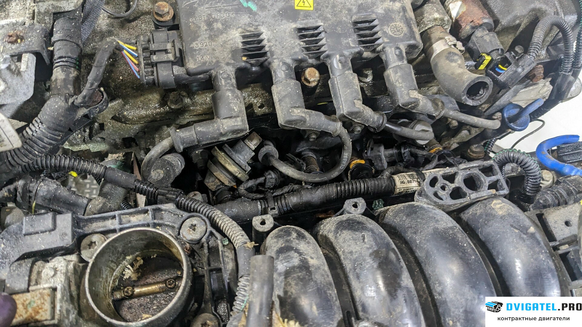 Двигатель Fiat Punto Evo 2009 - 2012 350 A 1.000 1.4 л., Бензин, Инжектор, артикул 8744957