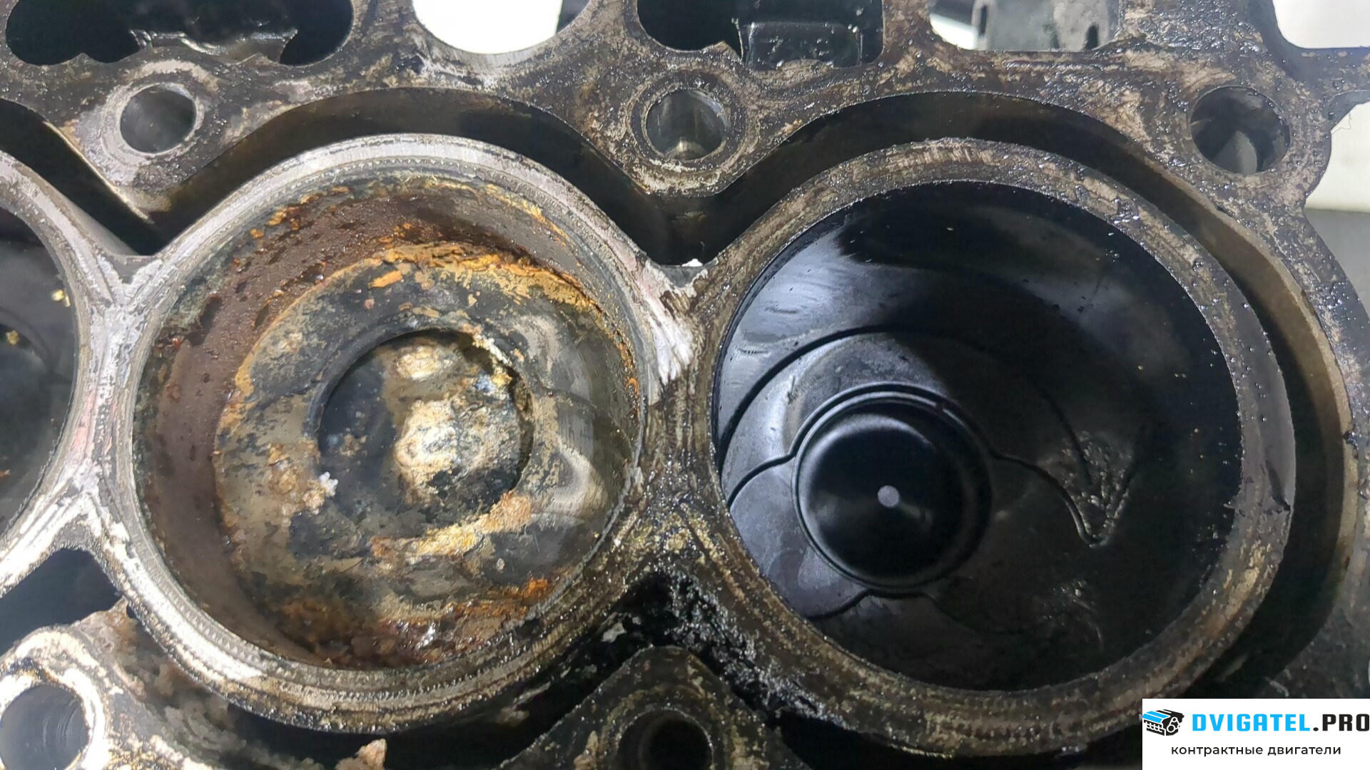 Шорт блок (Блок цилиндров) Ford Fusion 2002 - 2012 F6JA, F6JB 1.4 л., Дизель, TDCI, артикул 9001836