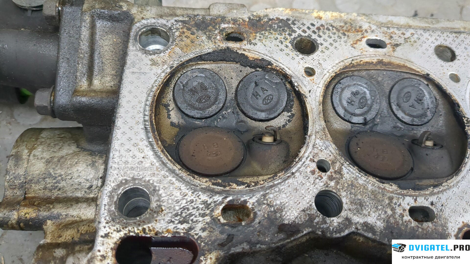 Головка блока цилиндров (ГБЦ) Hyundai Atos (Amica) 1997 - 2003 G4HC 1 л., Бензин, Инжектор, артикул 8893343