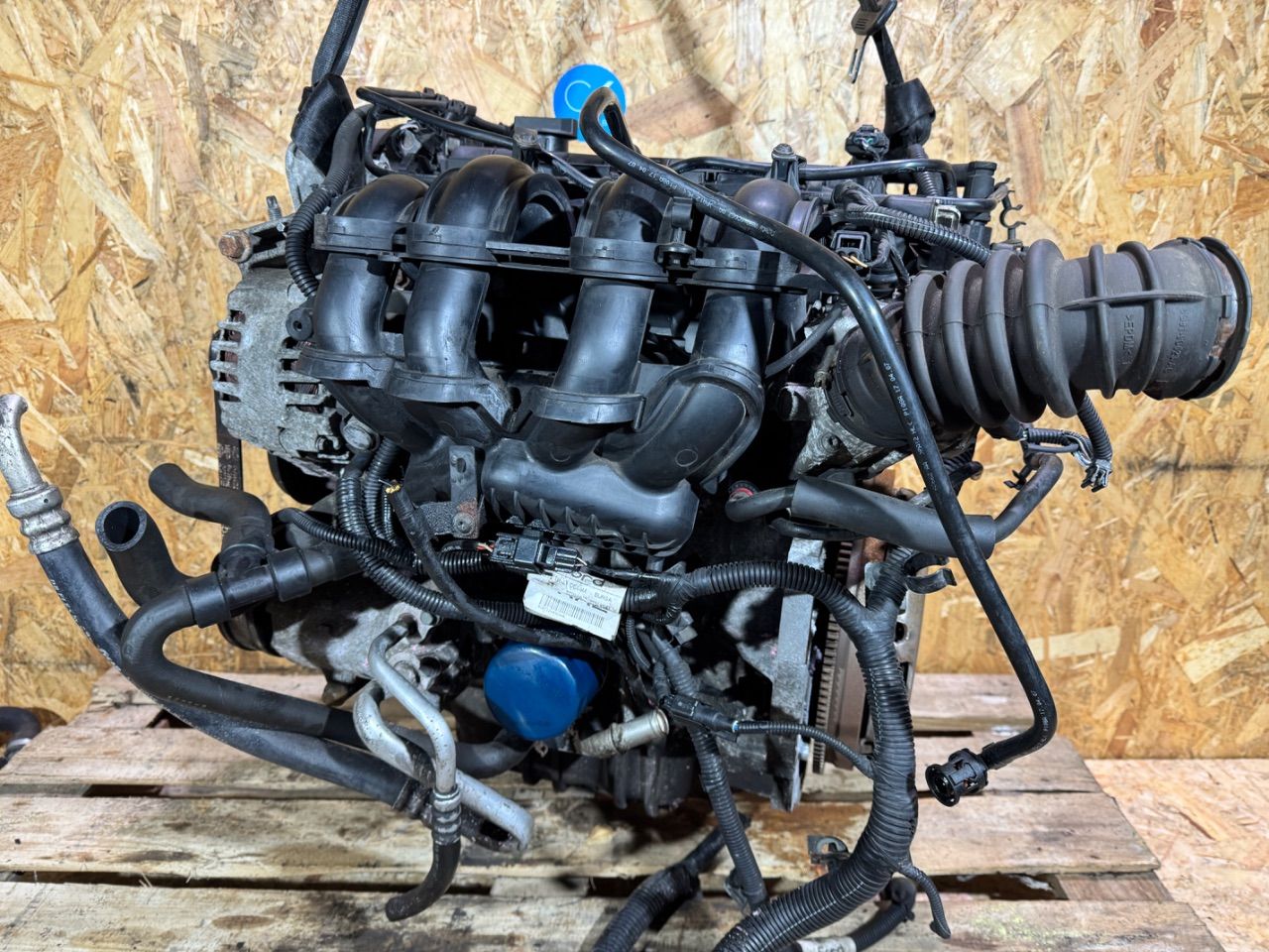 Двигатель PNBA Ford Mondeo 4 1.6 Бензин
