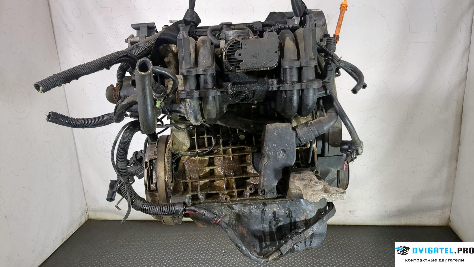 Двигатель Seat Cordoba 1999 - 2003 AKK 1.4 л., Бензин, Инжектор, артикул 8828060