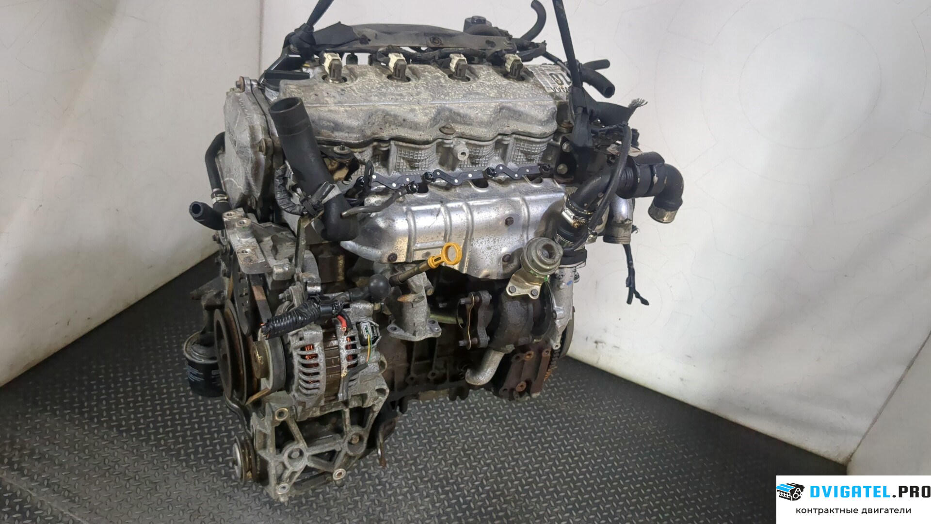 Двигатель Nissan Primera P12 2002 - 2007 YD22DDT 2.2 л., Дизель, DCI, артикул 9176255