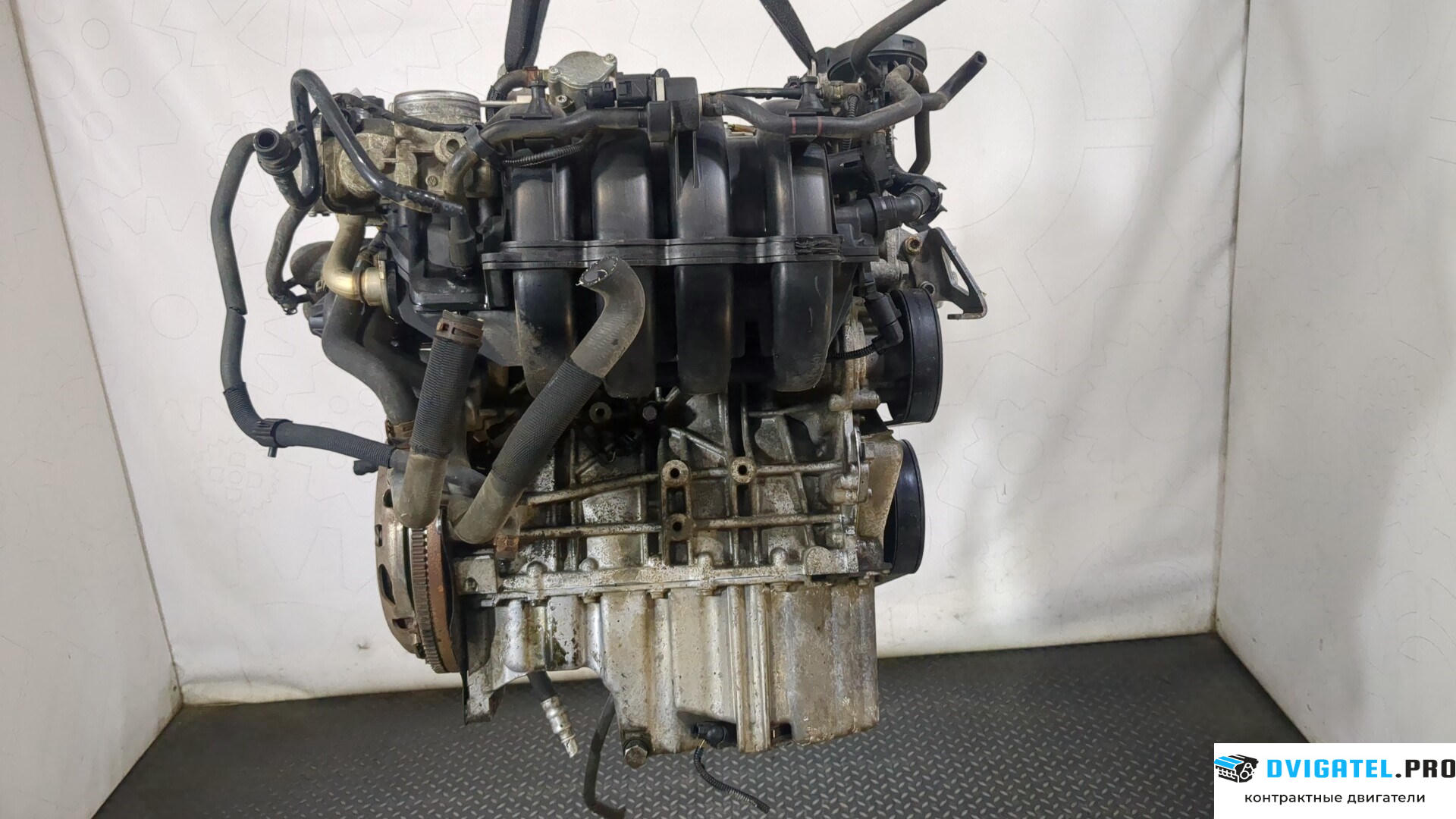 Двигатель Volkswagen Golf 5 2003 - 2009 BLF 1.6 л., Бензин, FSI, артикул 8975393