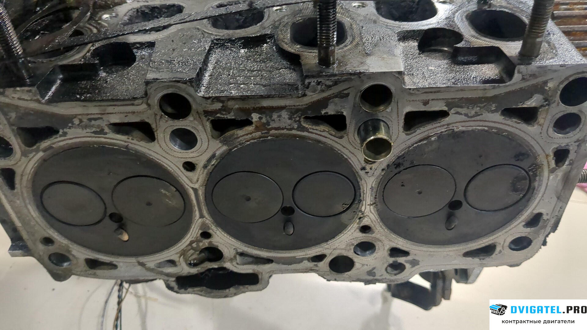 Головка блока цилиндров (ГБЦ) Volkswagen Polo 2001 - 2005 BAY 1.4 л., Дизель, TDI, артикул 8745776