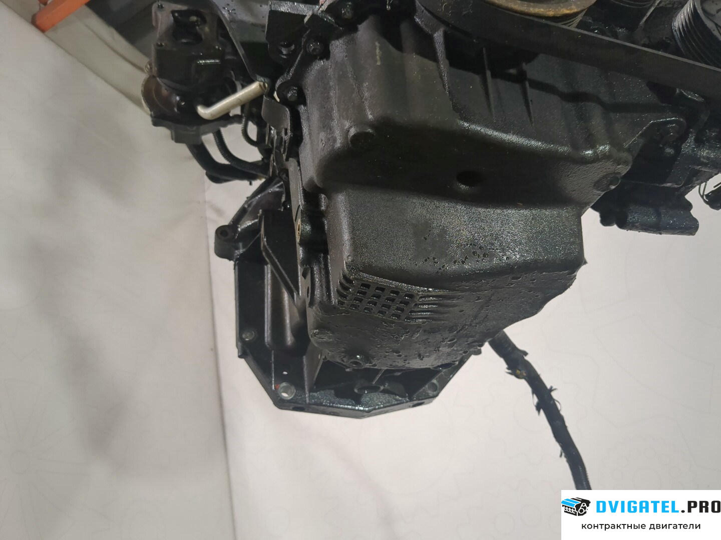 Двигатель Nissan Note E11 2006 - 2013 K9K 1.5 л., Дизель, DCI, артикул 8575994
