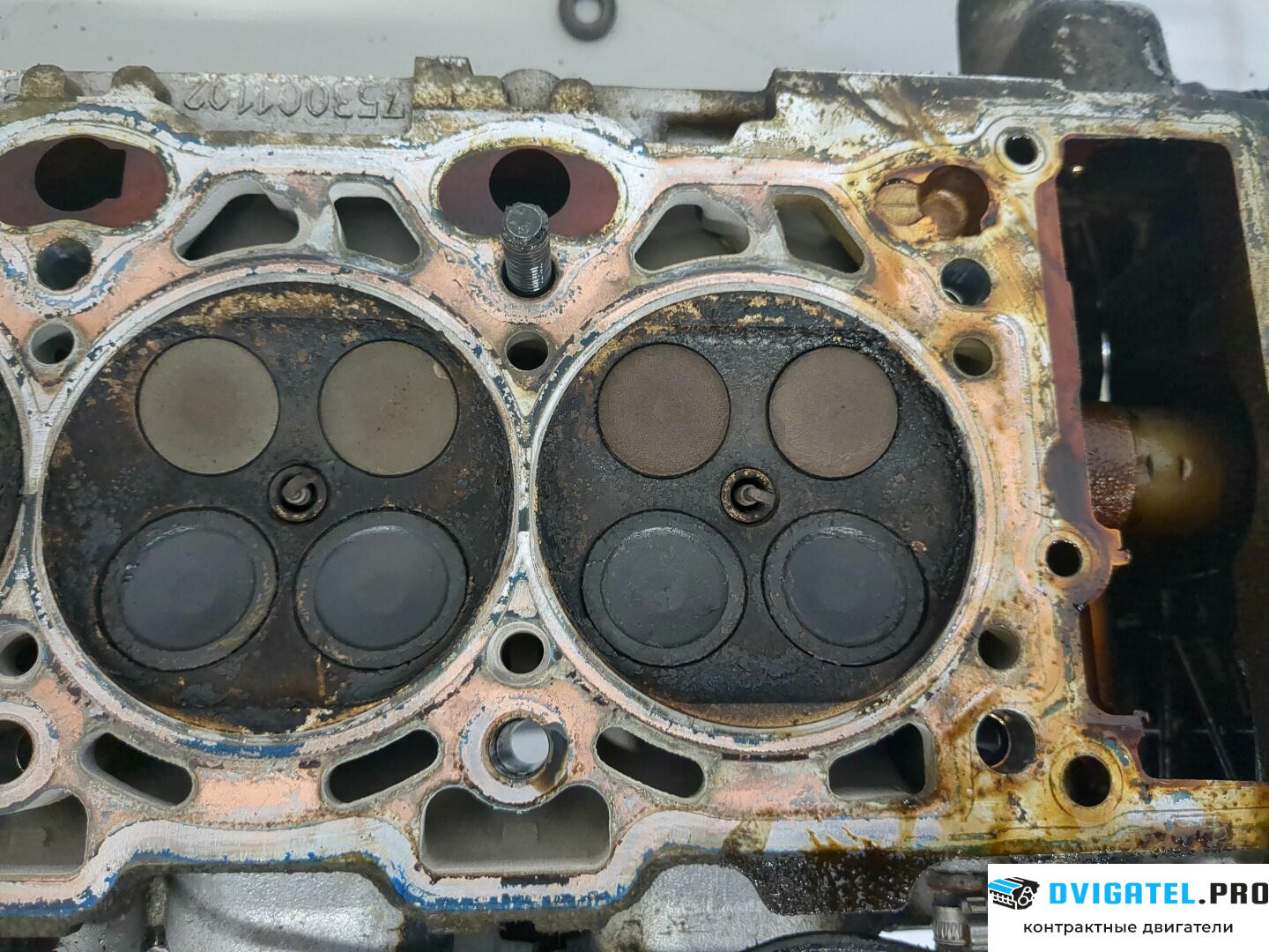 Головка блока цилиндров (ГБЦ) BMW X5 E53 2000 - 2007 N62 B48A 4.8 л., Бензин, Инжектор, артикул 8243469