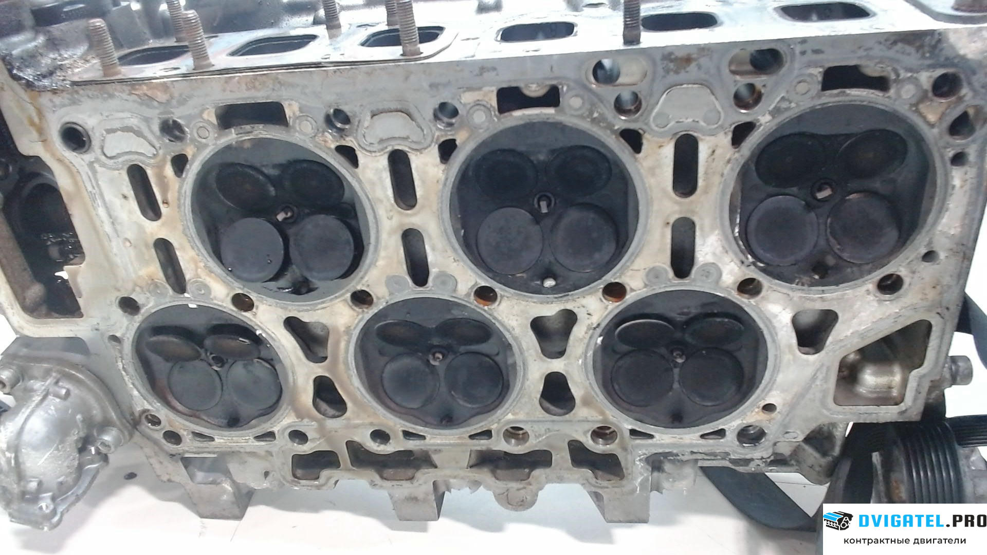 Головка блока цилиндров (ГБЦ) Porsche Cayenne 2007 - 2010 M55.01 3.6 л., Бензин, FSI, артикул 7781918