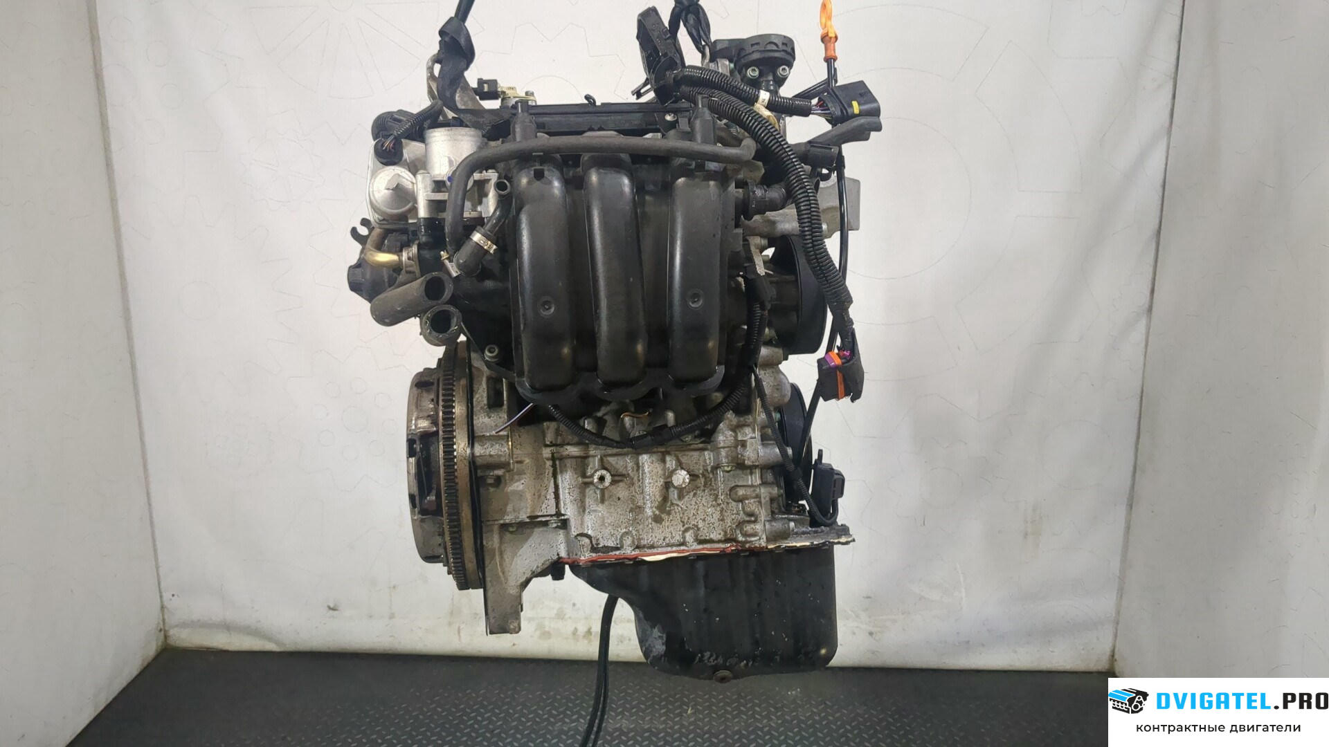 Двигатель Volkswagen Polo 2001 - 2005 AZQ 1.2 л., Бензин, Инжектор, артикул 9130130