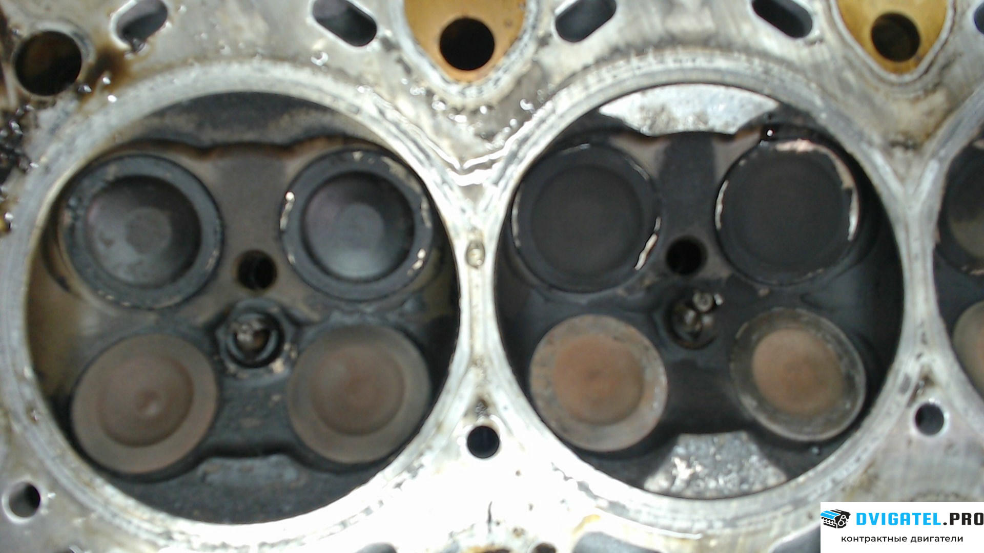 Головка блока цилиндров (ГБЦ) BMW 3 E90, E91, E92, E93 2005 - 2012 N43B20A 2 л., Бензин, Инжектор, артикул 7019517