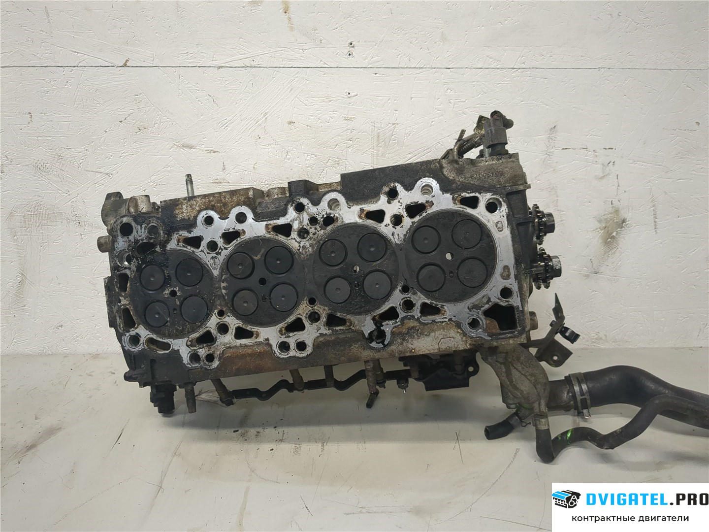 Головка блока цилиндров (ГБЦ) Nissan Pathfinder 2004 - 2014 YD25DDTI 2.5 л., Дизель, DCI, артикул 8148818