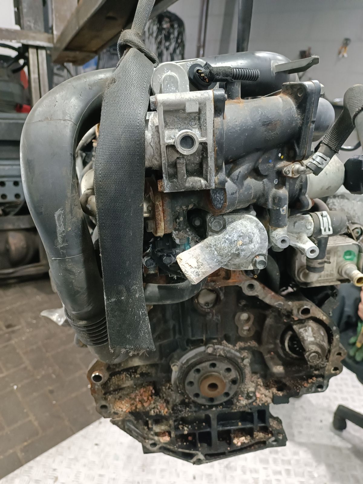 Двигатель Z17DTL Opel Astra G 1.7 Дизель